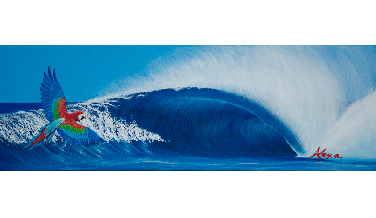 Dreaming of Matapalo Photo: <a href=\"https://alexasmakinwaves.com/\">Alexa Caskey</a>