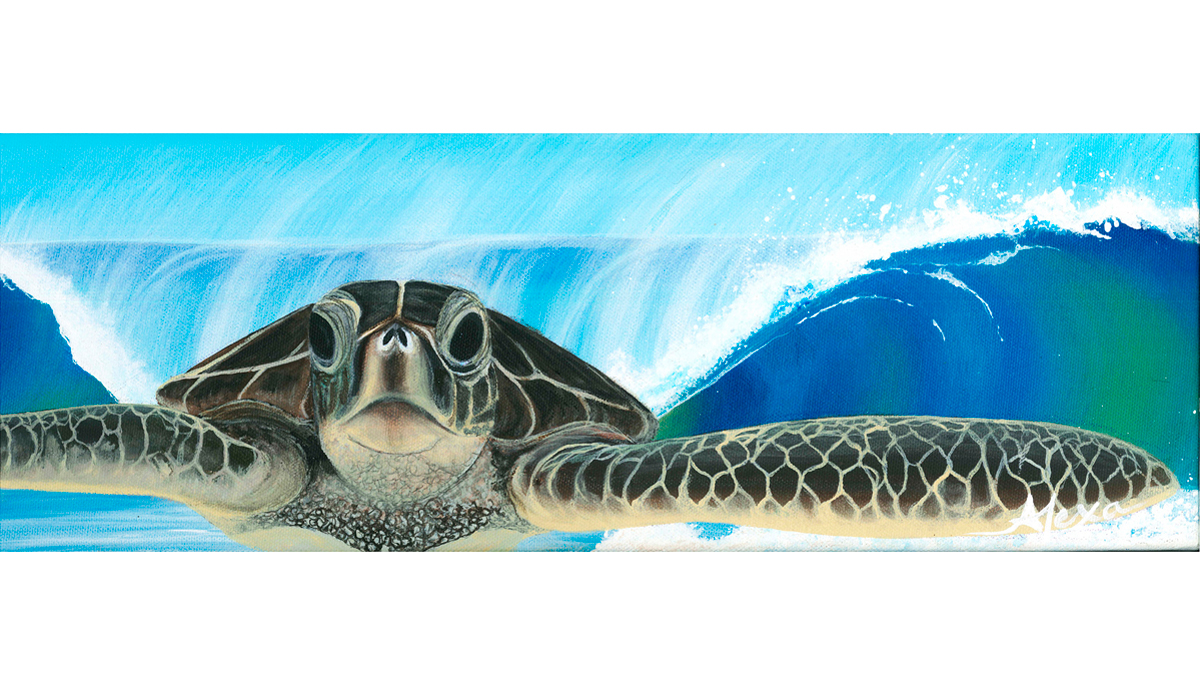 Honu Surf Photo: <a href=\"https://alexasmakinwaves.com/\">Alexa Caskey</a>