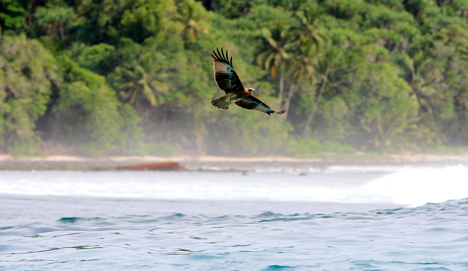 ... and you can see why. Photo: <a href=\"https://instagram.com/alexandercleland\" target=\"_blank\">Alexander Cleland</a>.