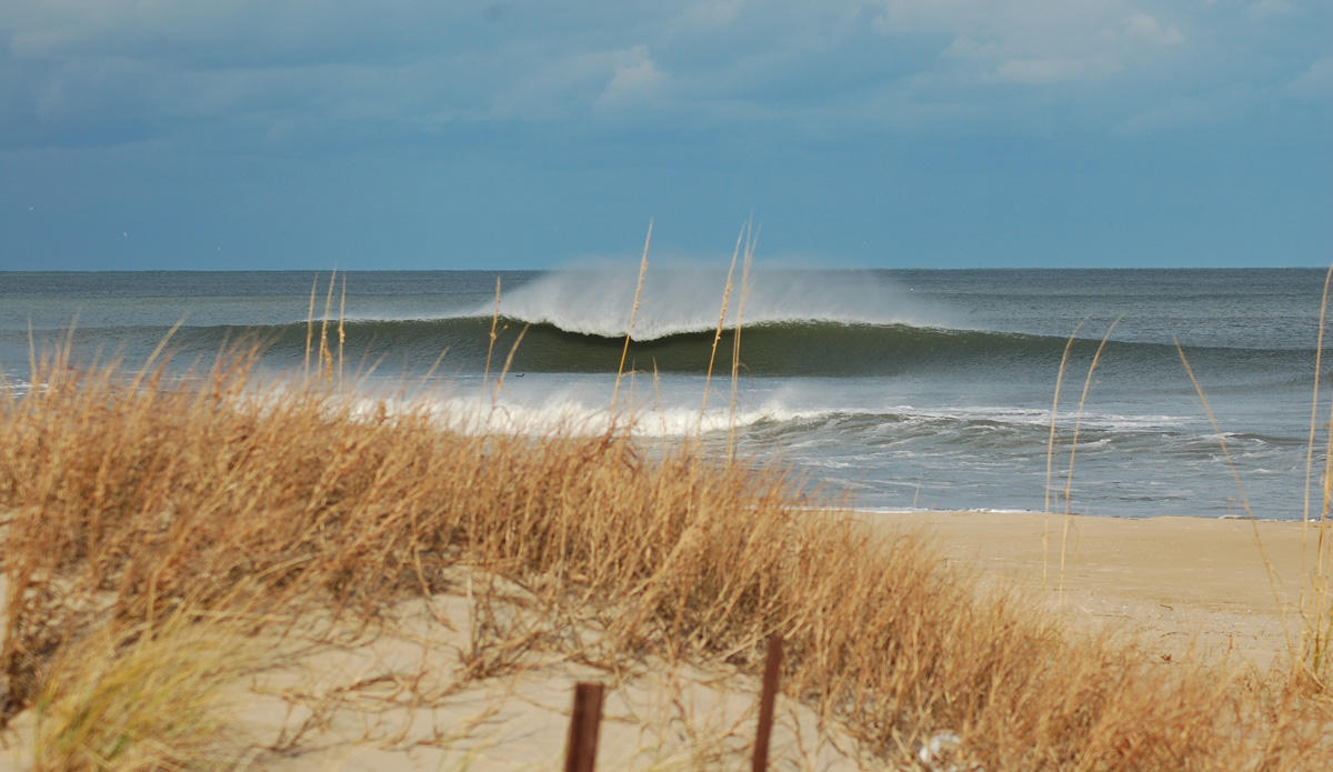 Photo: <a href=\"https://instagram.com/allen_harcourt\"> Allen Harcourt</a>