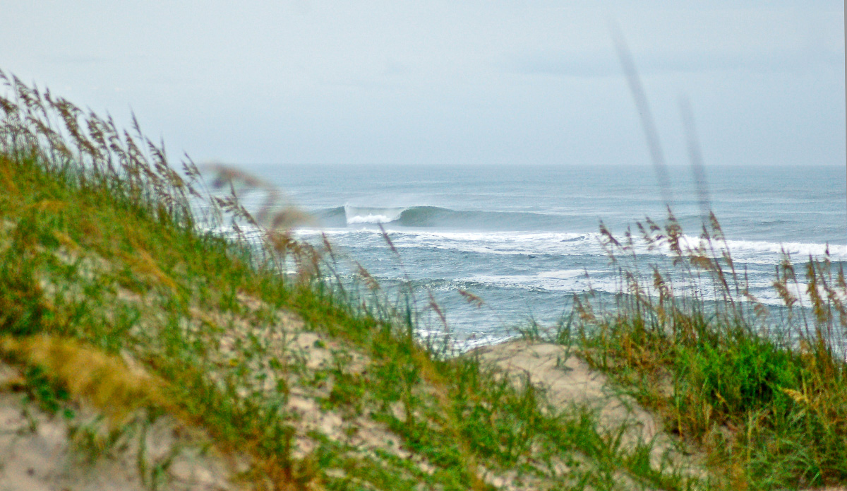 Photo: <a href=\"https://instagram.com/allen_harcourt\"> Allen Harcourt</a>