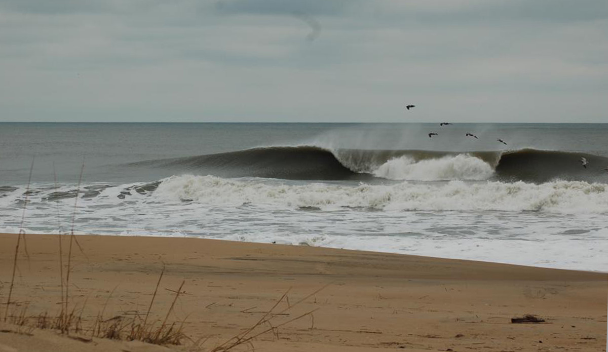 Photo: <a href=\"https://instagram.com/allen_harcourt\"> Allen Harcourt</a>