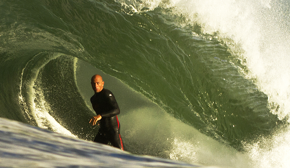 Kelly. Standing tall. Photo: <a href=\"https://raycollinsphoto.com/\" target=_blank>Ray Collins</a>