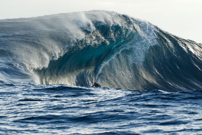 Jughead. Cyclops. Photo: <a href=\"https://russellordphotography.com/\" target=_blank>Russel Ord</a>