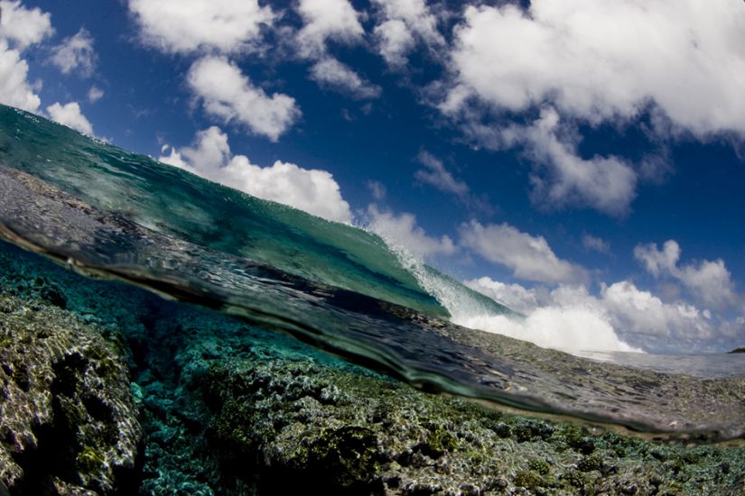 Marshalls. This type of split shot, or over and under, is my specialty. I\\\'m trying to make my name by capturing these bisected wave images, and this is one of the better ones. The crystal clear water of the Marshall Islands helps. Photo: <a href=\"https://www.sparkesphoto.com/\" target=_blank>David Sparkes</a>