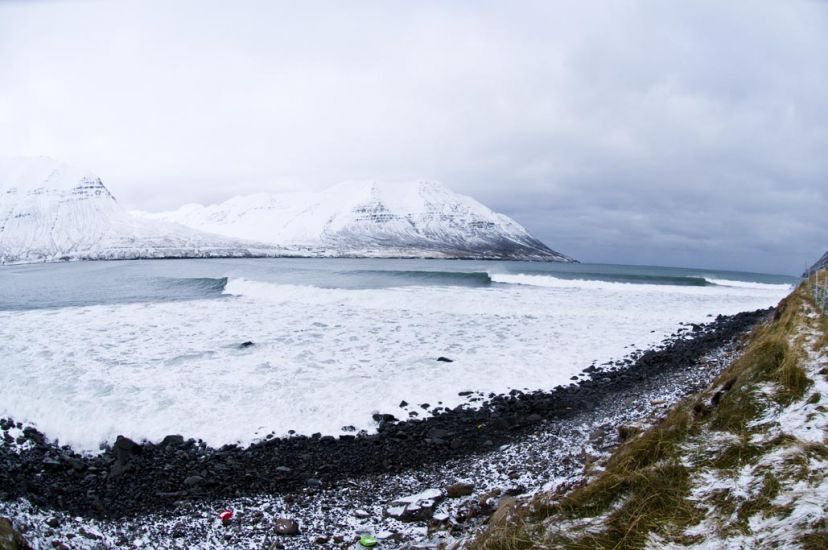 Olas. Photo: <a href=https://www.timnunn.co.uk/\" target=_blank>
