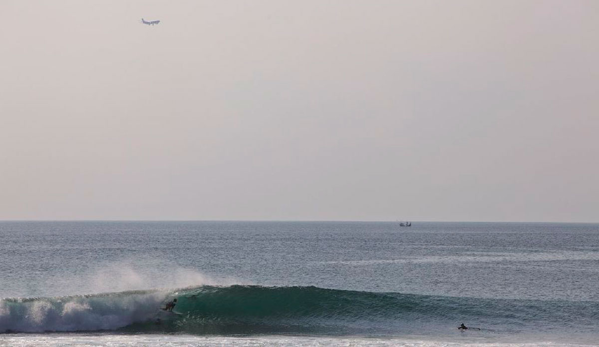 Photo: <a href=\"https://alliegrayphoto.com/\"> Allie Gray</a>