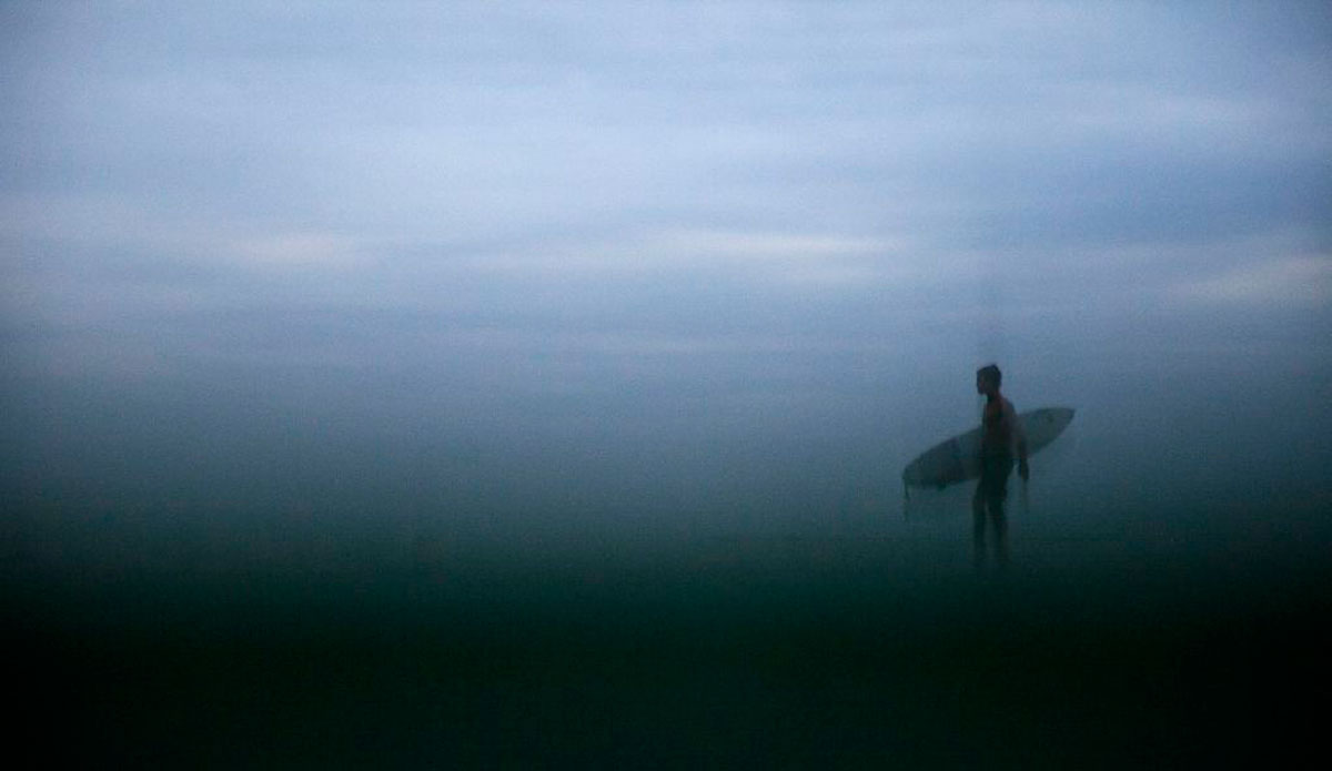 Photo: <a href=\"https://alliegrayphoto.com/\"> Allie Gray</a>