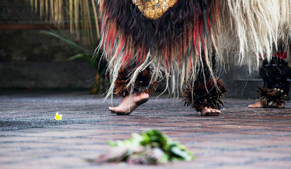 Photo: <a href=\"https://alliegrayphoto.com/\"> Allie Gray</a>