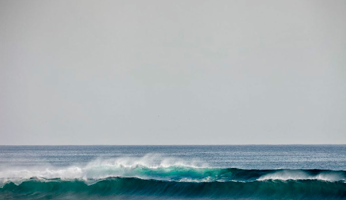 Photo: <a href=\"https://alliegrayphoto.com/\"> Allie Gray</a>