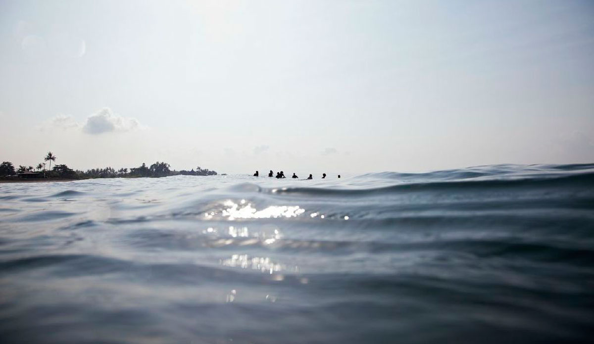 Photo: <a href=\"https://alliegrayphoto.com/\"> Allie Gray</a>