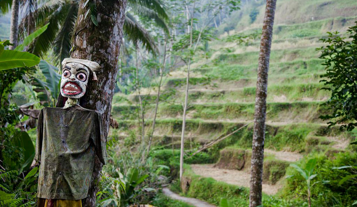 Photo: <a href=\"https://alliegrayphoto.com/\"> Allie Gray</a>