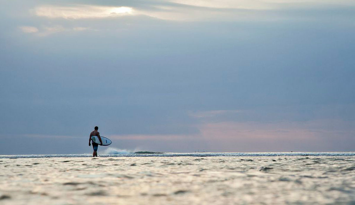 Photo: <a href=\"https://alliegrayphoto.com/\"> Allie Gray</a>