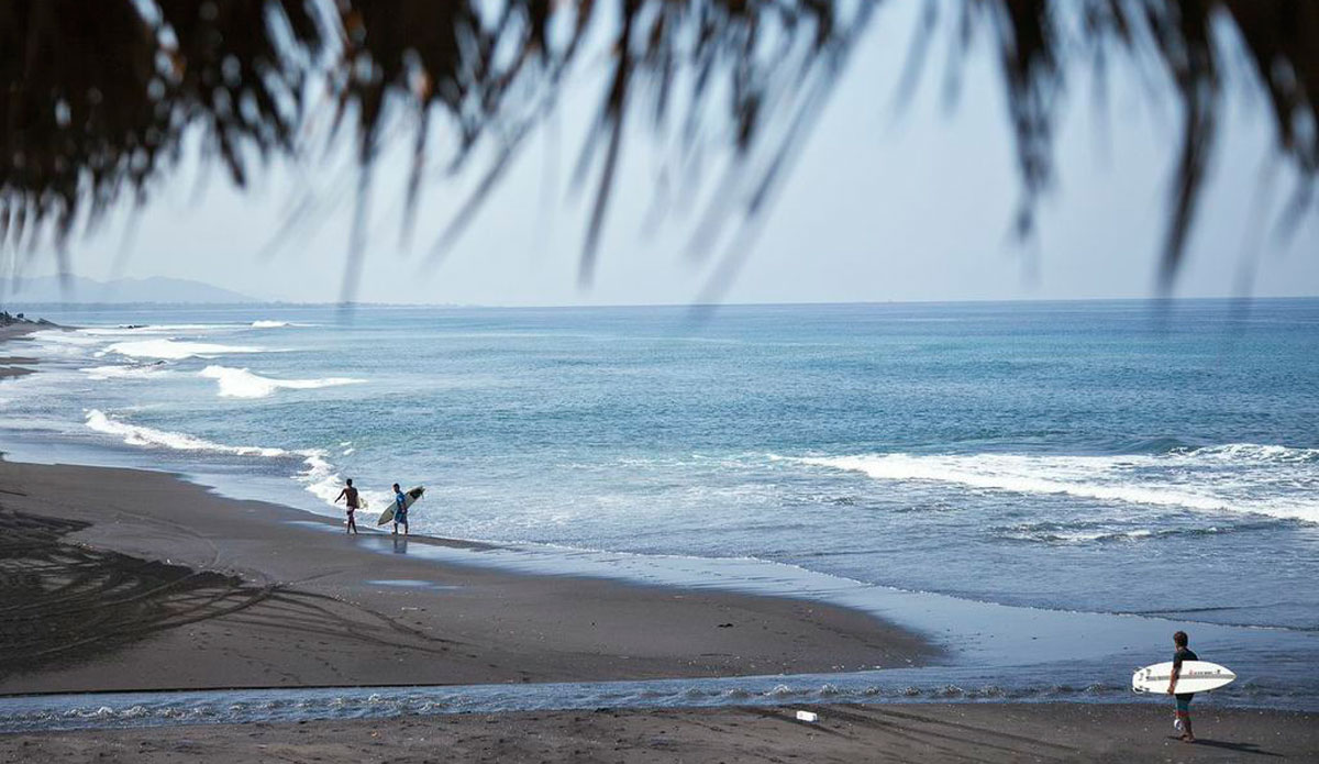 Photo: <a href=\"https://alliegrayphoto.com/\"> Allie Gray</a>