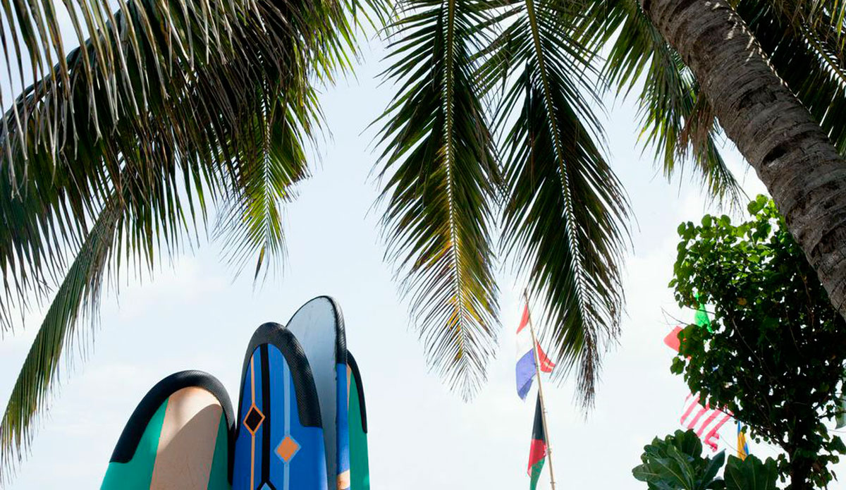 Photo: <a href=\"https://alliegrayphoto.com/\"> Allie Gray</a>