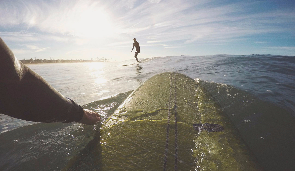 Photo: <a href=\"https://instagram.com/alex__swanson/\">Alex Swanson</a>