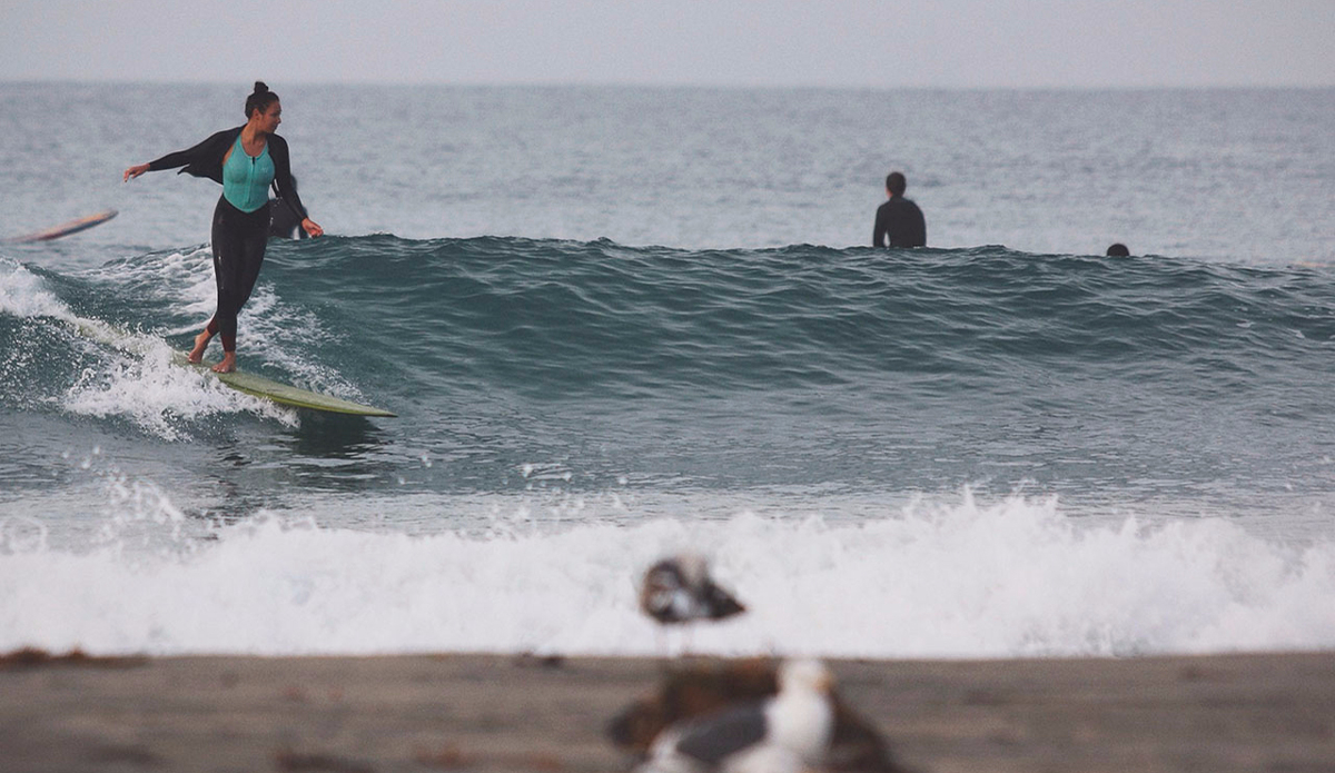 Photo: <a href=\"https://instagram.com/alex__swanson/\">Alex Swanson</a>