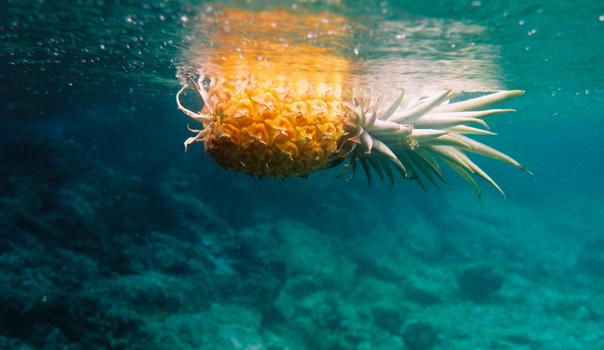 The Delicious Sea Pineapple | Nikonos V | Fujifilm 200 Photo: <a href=\"https://www.alohabigmike.com/\">Aloha Big Mike</a>