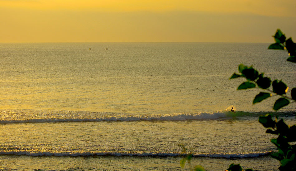 Gold. Photo: <a href=\"https://www.alohasurfjournal.com\">Aloha Surf Journal</a>