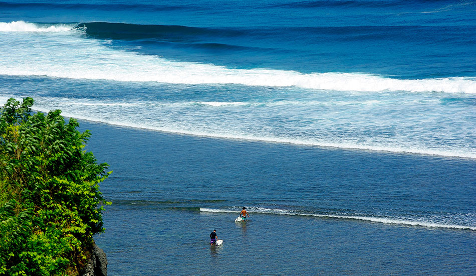 Reef. Photo: <a href=\"https://www.alohasurfjournal.com\">Aloha Surf Journal</a>