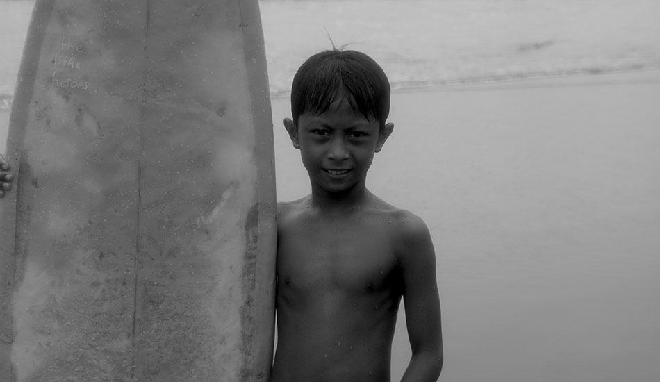 Young tree. Photo: <a href=\"https://www.alohasurfjournal.com\">Aloha Surf Journal</a>