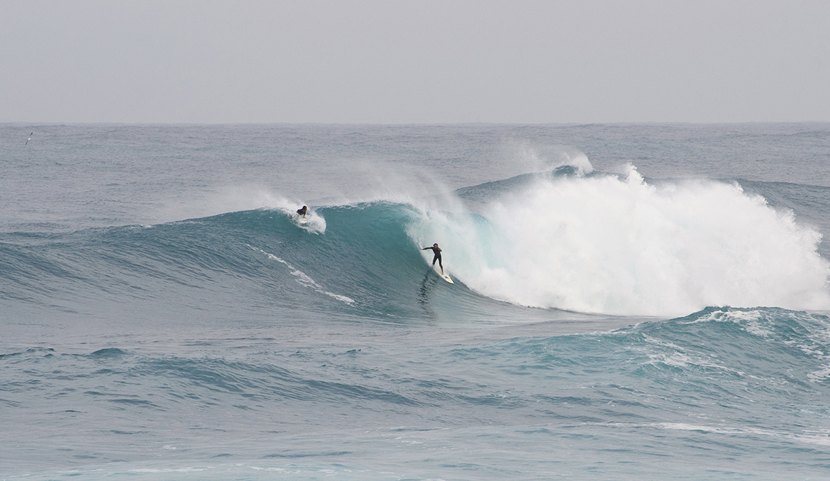 Photo: Andrea Bianchi