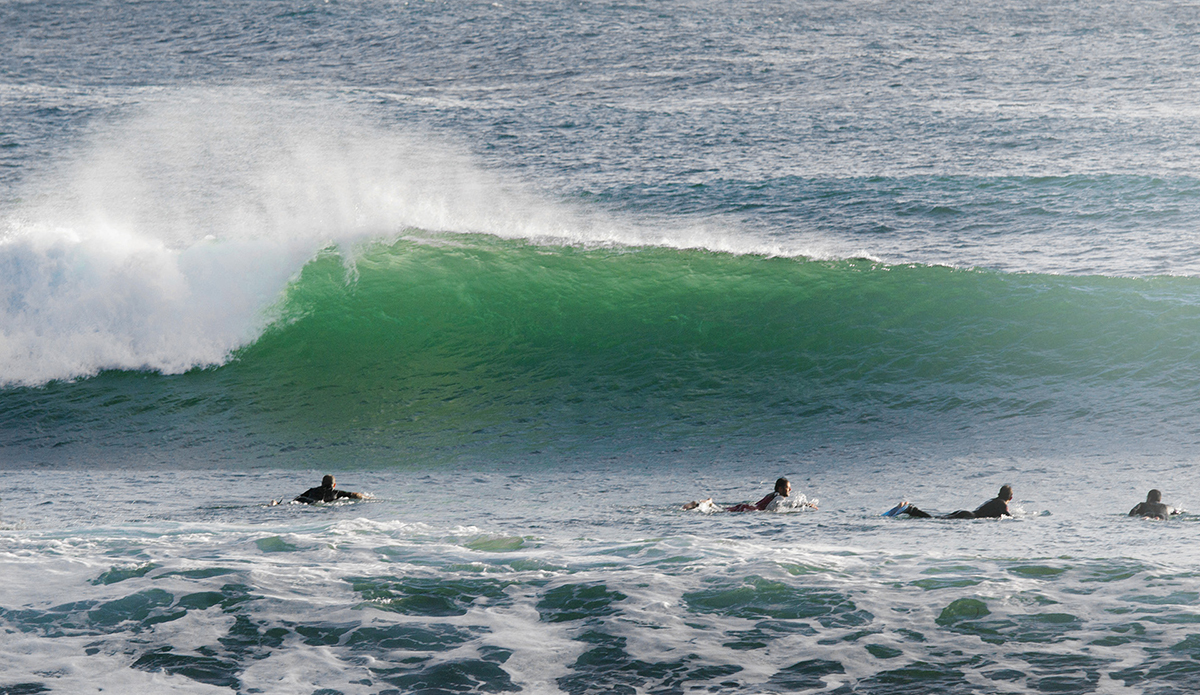 Photo: Andrea Bianchi