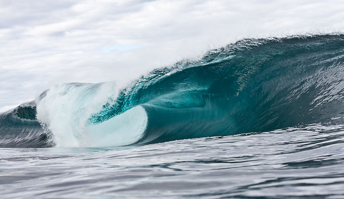 Green-eyed. Photo: <a href=\"https://portfolio566867.4ormat.com/\" target=_blank>Andrew Carruthers</a>