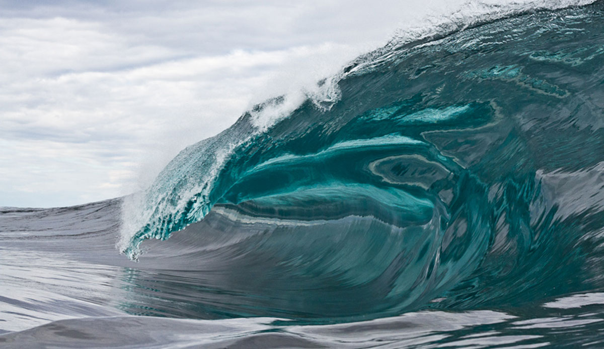 Growling. Photo: <a href=\"https://portfolio566867.4ormat.com/\" target=_blank>Andrew Carruthers</a>