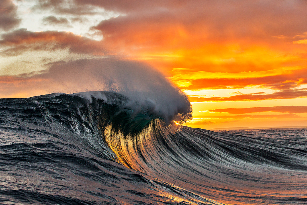 Photo: Andrew Semark