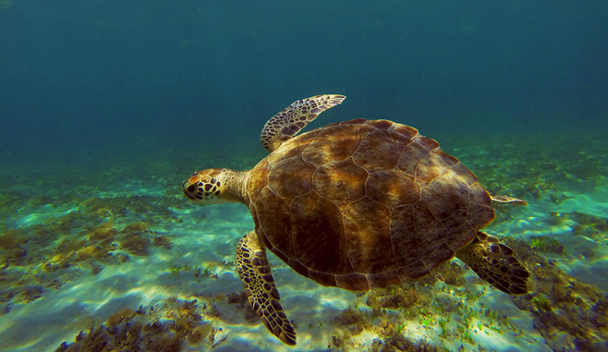 Look but don\'t touch. Photo: <a href=\"https://instagram.com/youngxsalt\"> Tondo</a>