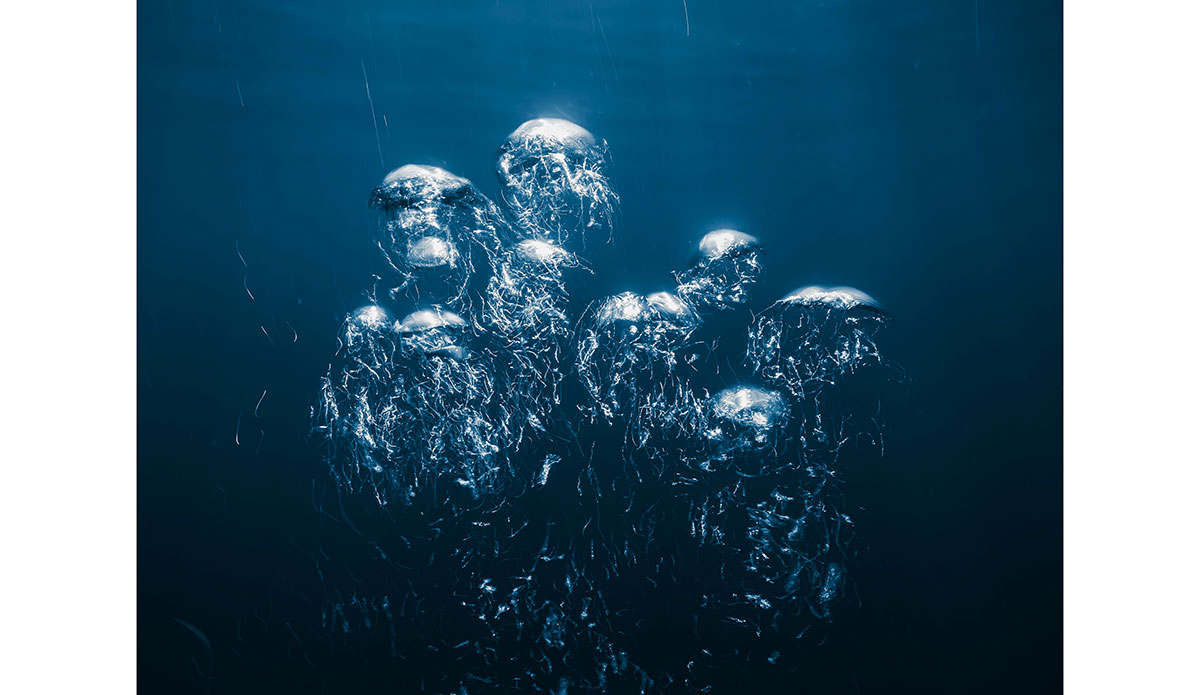 Photo: <a href=\"https://benthouard.com\">Ben Thouard</a>