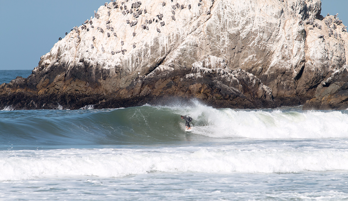 Taras again on point. 