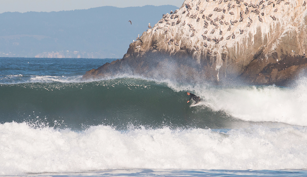 Bianca tucked in and slotted. 