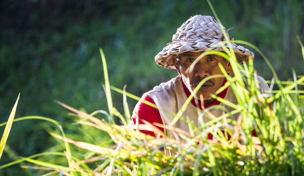 Photo: <a href=\"https://instagram.com/peteralsted\"> Peter Alsted</a>