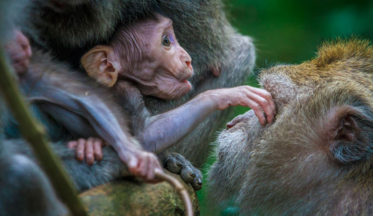 Photo: <a href=\"https://instagram.com/peteralsted\"> Peter Alsted</a>