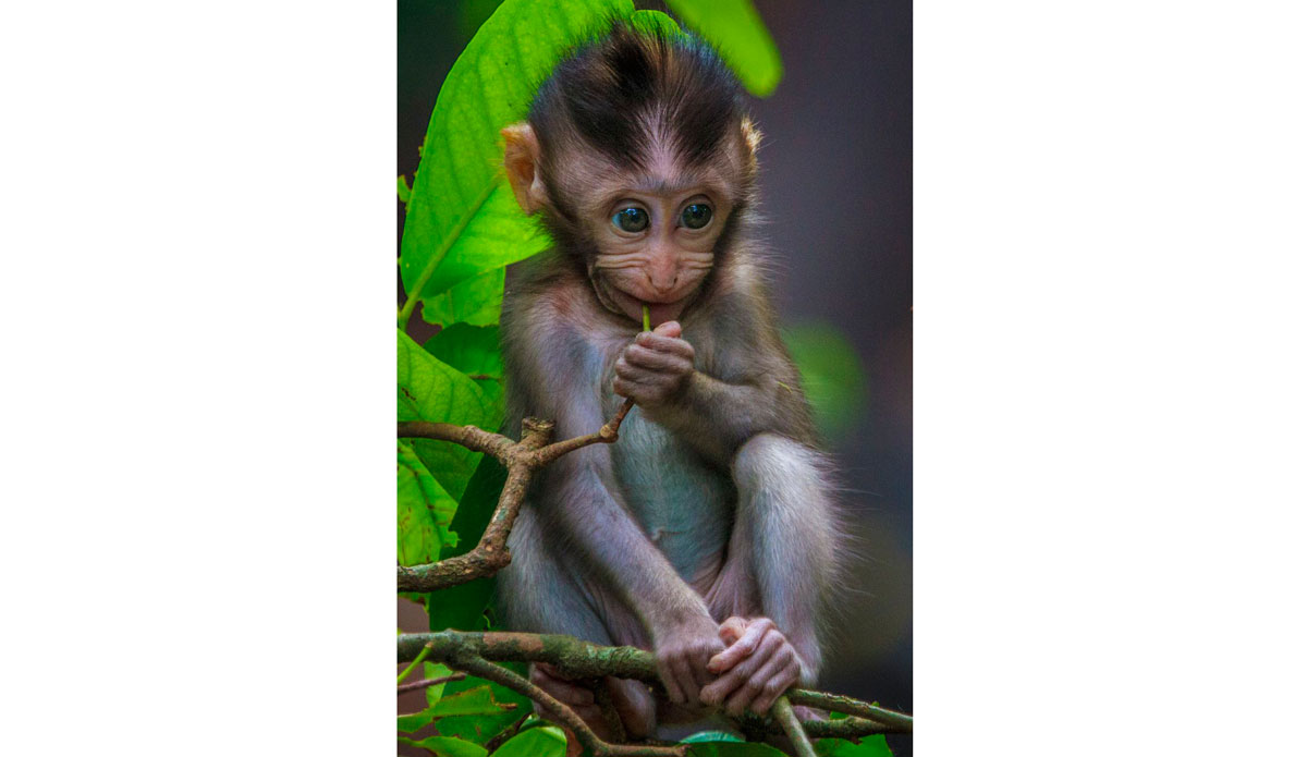 Photo: <a href=\"https://instagram.com/peteralsted\"> Peter Alsted</a>