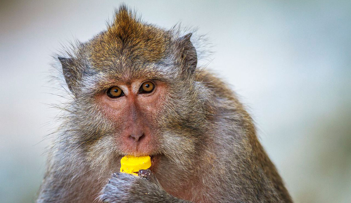 Photo: <a href=\"https://instagram.com/peteralsted\"> Peter Alsted</a>