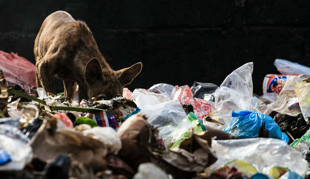 Photo: <a href=\"https://instagram.com/peteralsted\"> Peter Alsted</a>