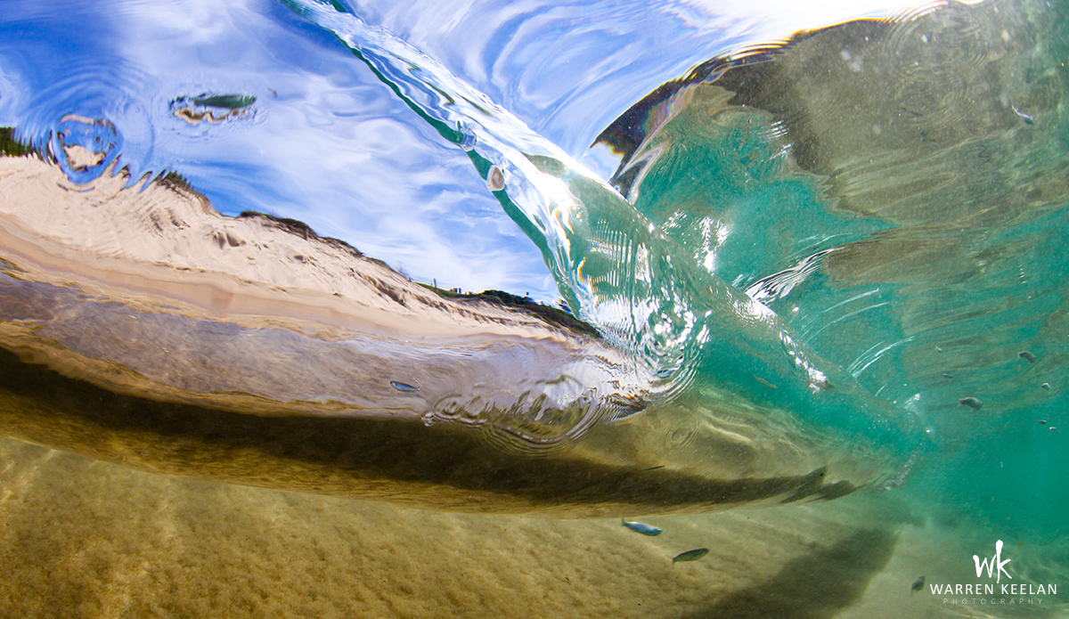 Aquarium Photo: <a href=\"https://www.warrenkeelanphotography.com.au/\">Warren Keelan</a>