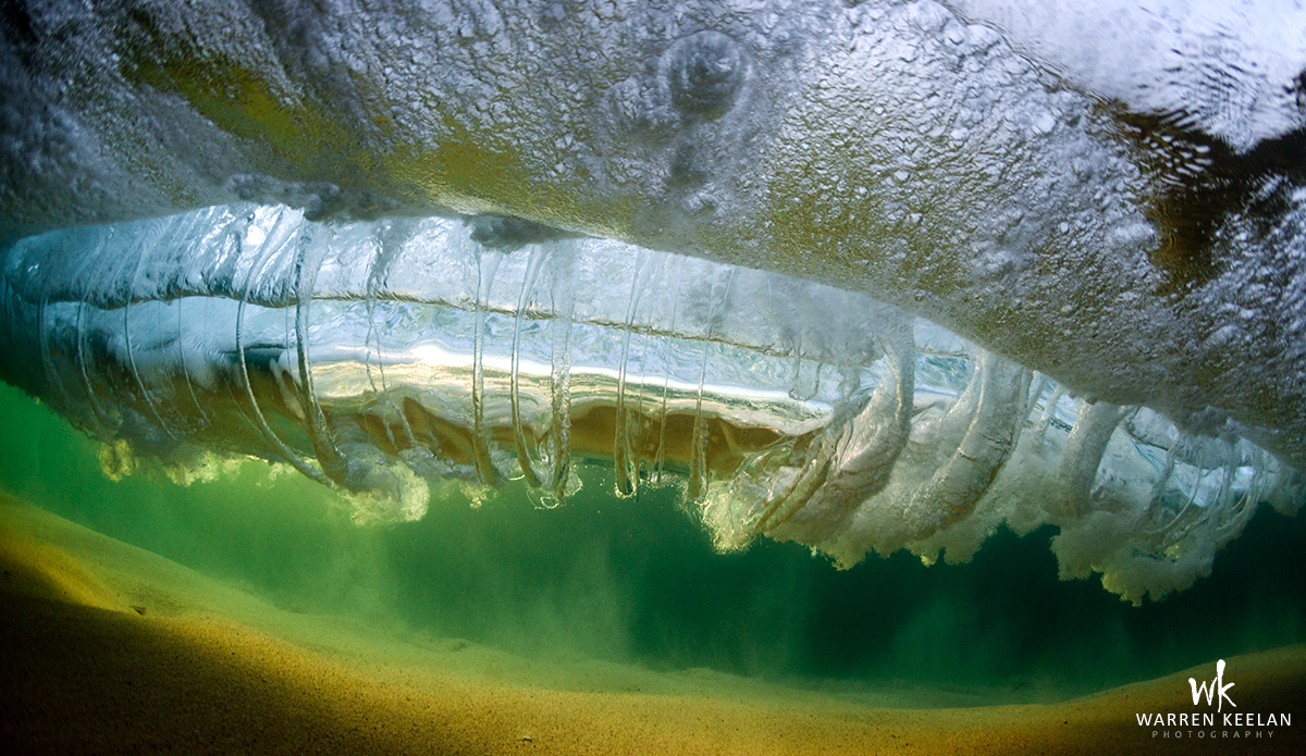 Shark Eye Photo: <a href=\"https://www.warrenkeelanphotography.com.au/\">Warren Keelan</a>
