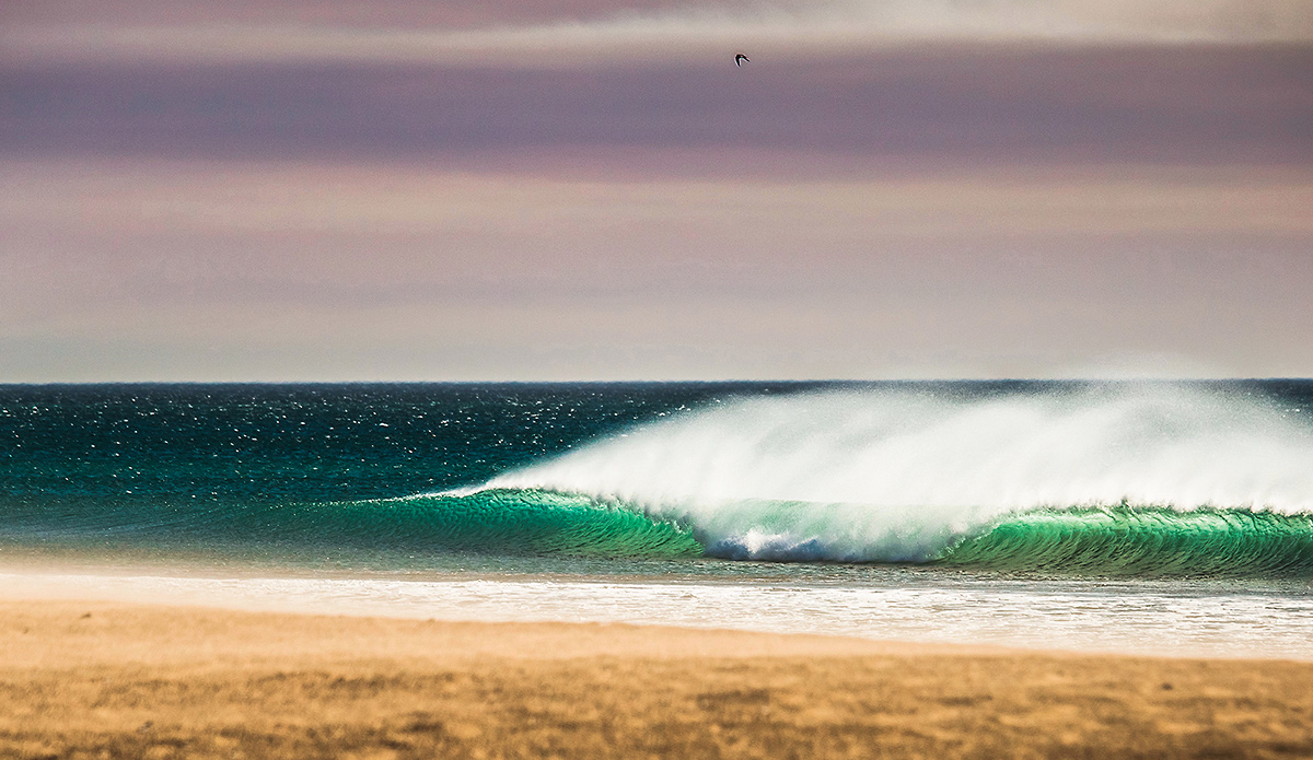 Southern California with a healthy dose of Santa Ana winds in January. Sunny, warm and perfectly groomed. Photo: <a href=\"https://evanconwayphoto.com/\">Evan Conway</a>