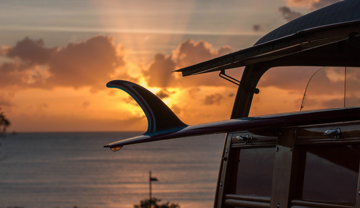 Photo: <a href=\"https://www.sebastianrobison.com\">SebastianRobison.com</a>