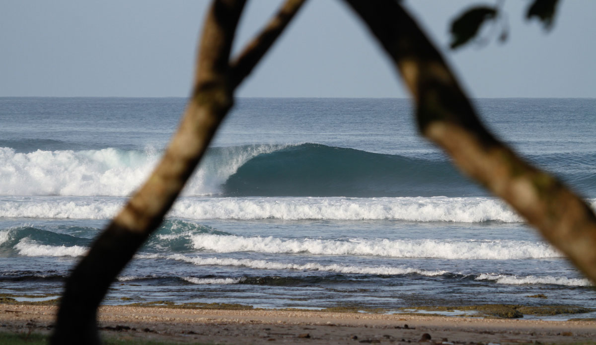 Through the trees at a perfect left. Photo: Chris Immler