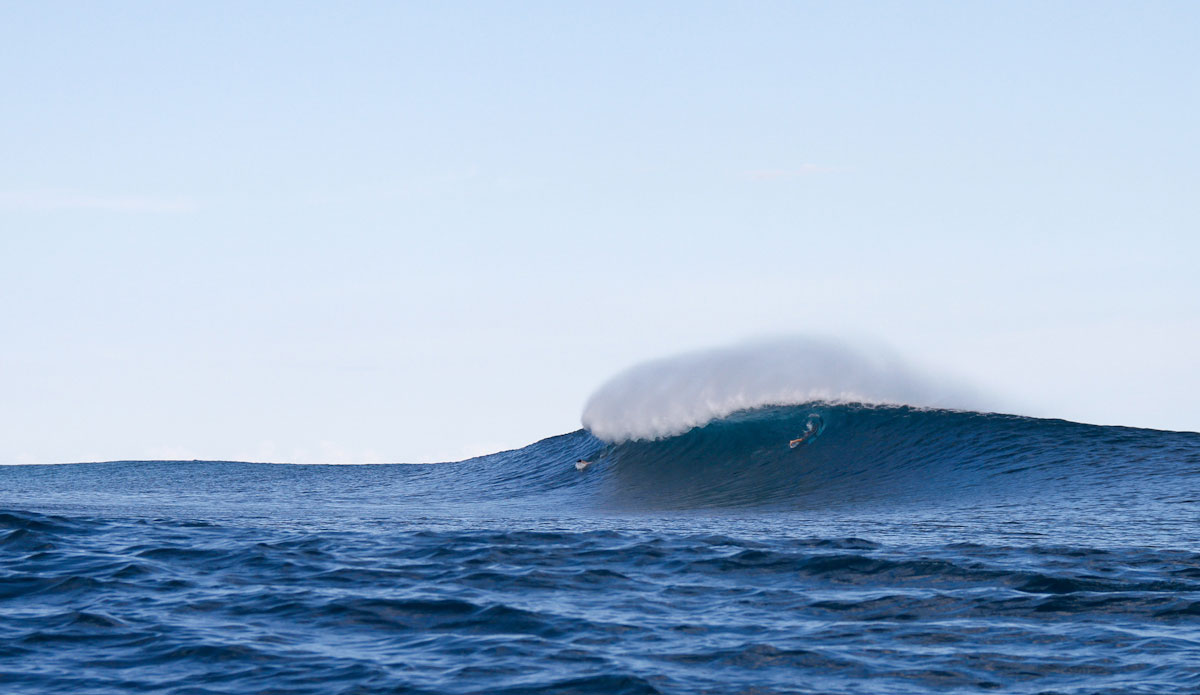 Deep water reef. Photo: Chris Immler