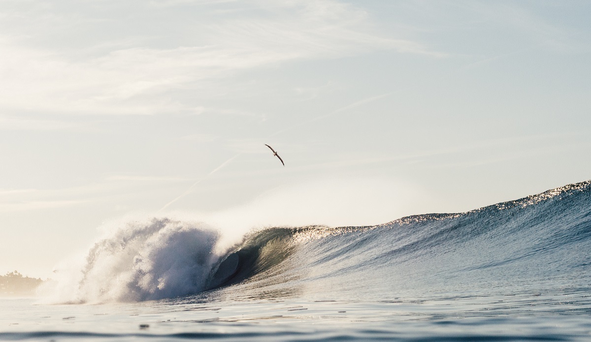 More photos from one fall day of Northern San Diego perfection. Photo: Austin Mullen (<a href=\"https://www.instagram.com/austinmullenphoto/\" rel=\"noopener\" target=\"_blank\">@austinmullenphoto</a>)