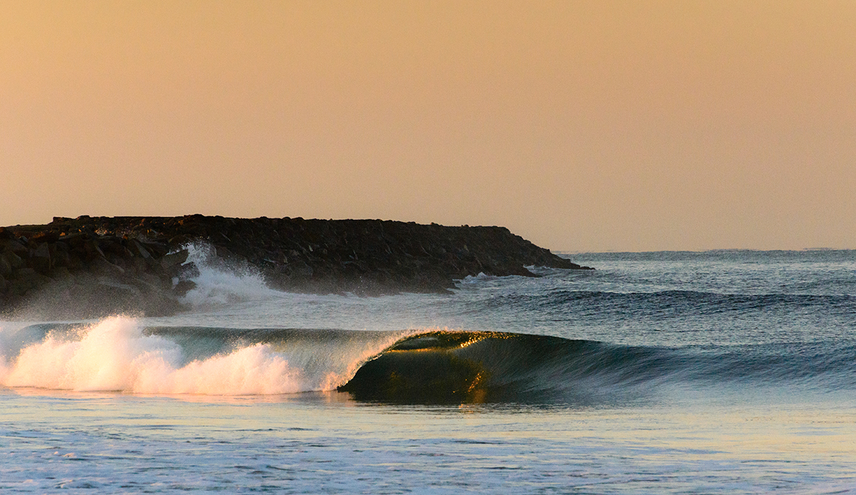 Photo: Austin Mullen