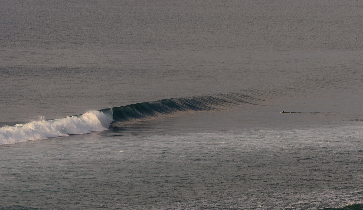 Photo: Austin Mullen