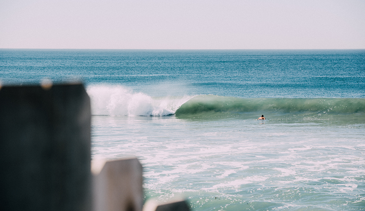 Photo: Austin Mullen