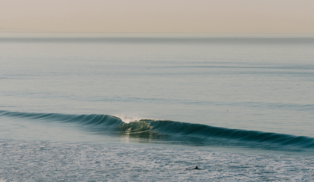 Photo: Austin Mullen